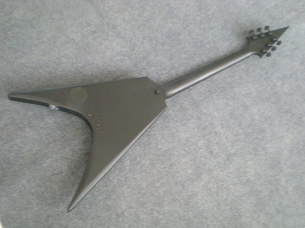 Customize Electric Guitar LSM012