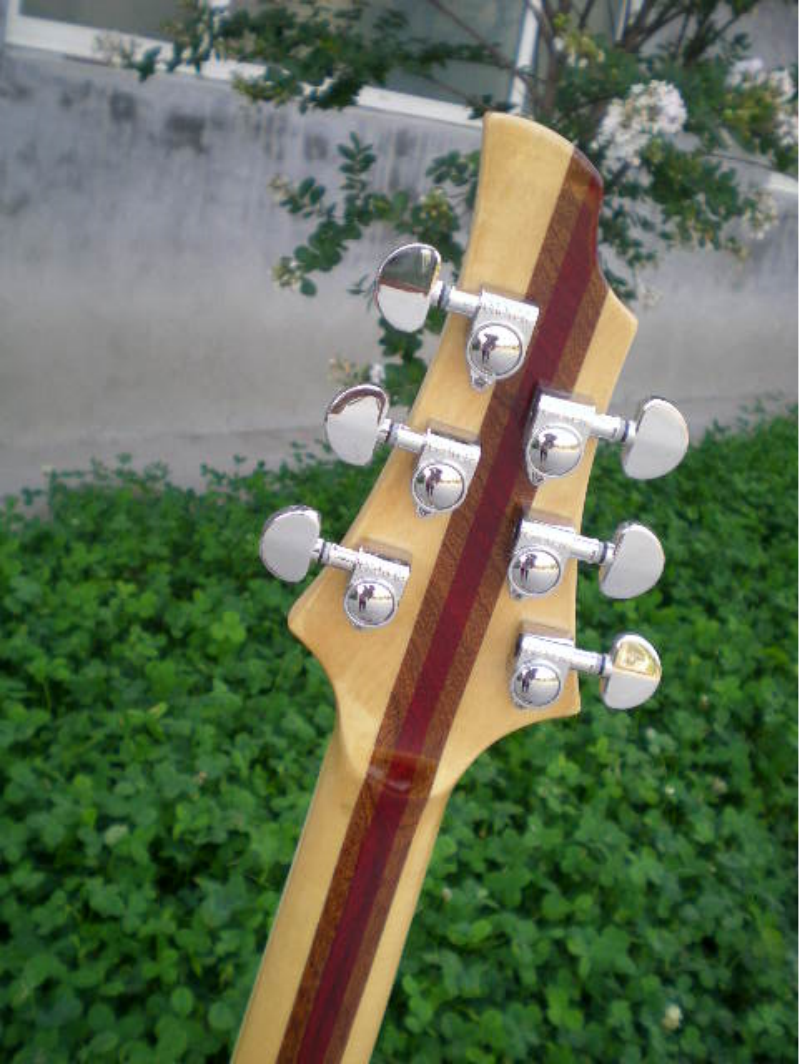 Customize Electric Guitar LSM094