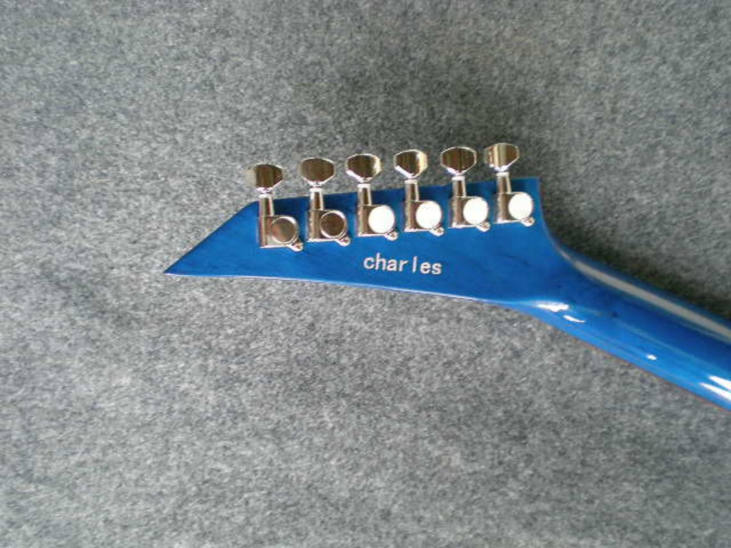 Customize Electric Guitar LSM013