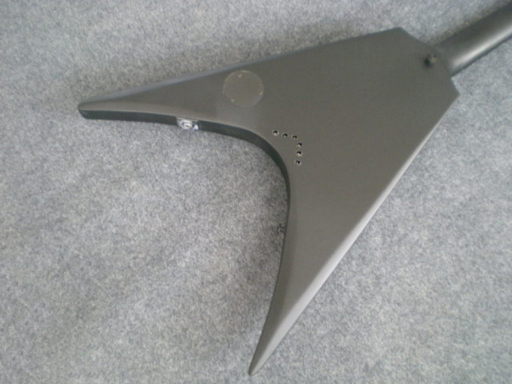 Customize Electric Guitar LSM012
