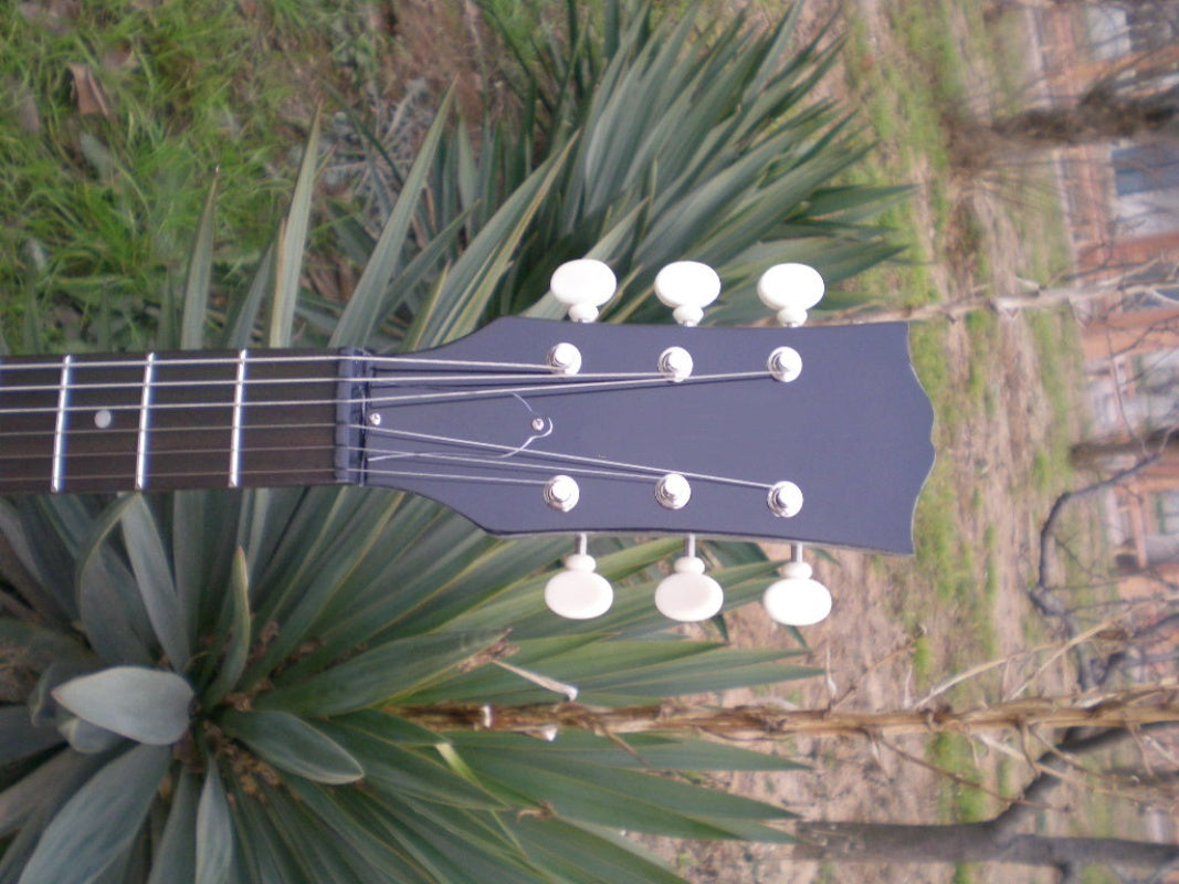 Customize Electric Guitar LSM034