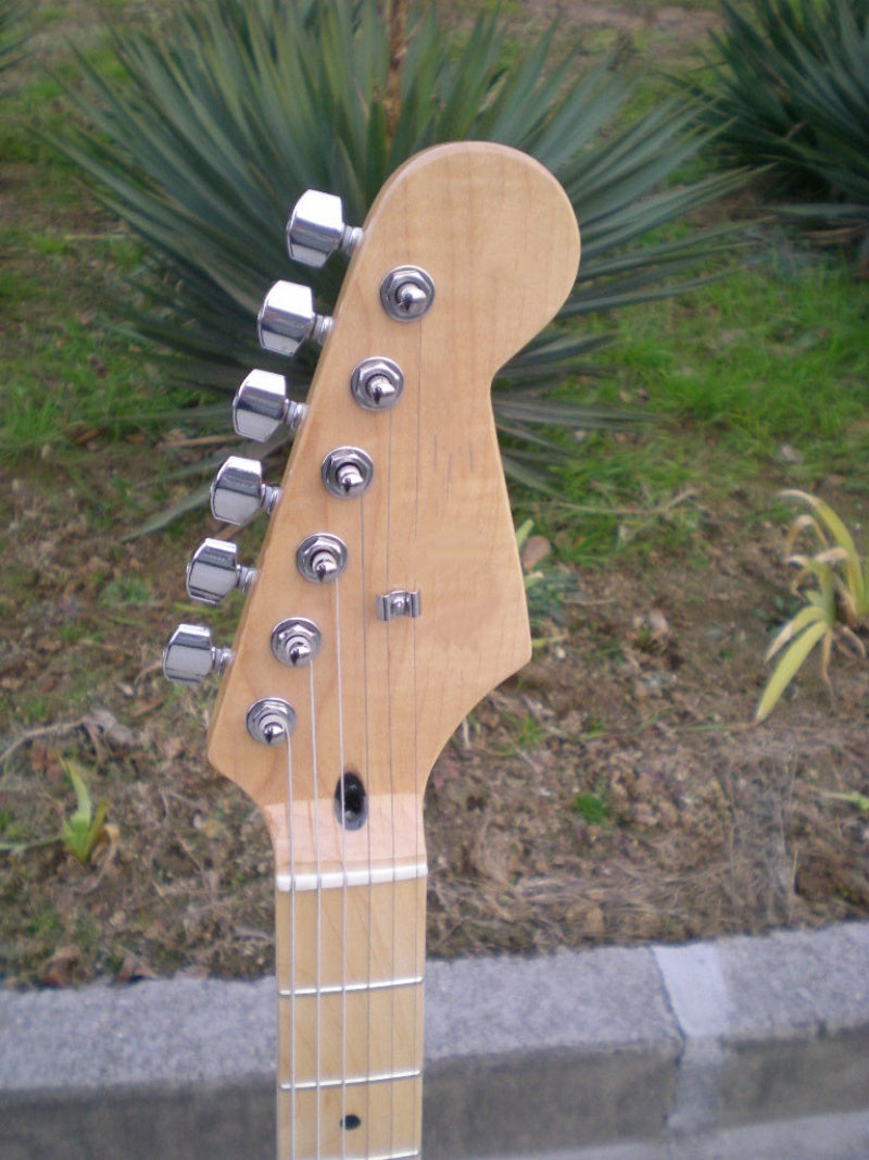 Customize Electric Guitar LSM151