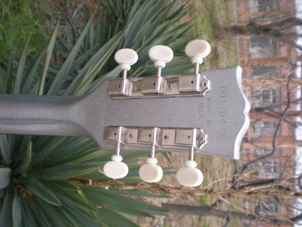 Customize Electric Guitar LSM034