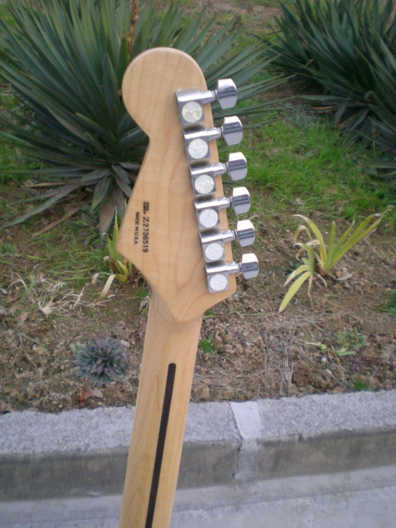 Customize Electric Guitar LSM151