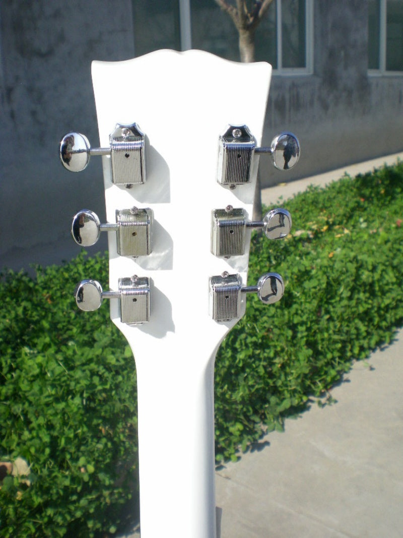 Customize Electric Guitar LSM060