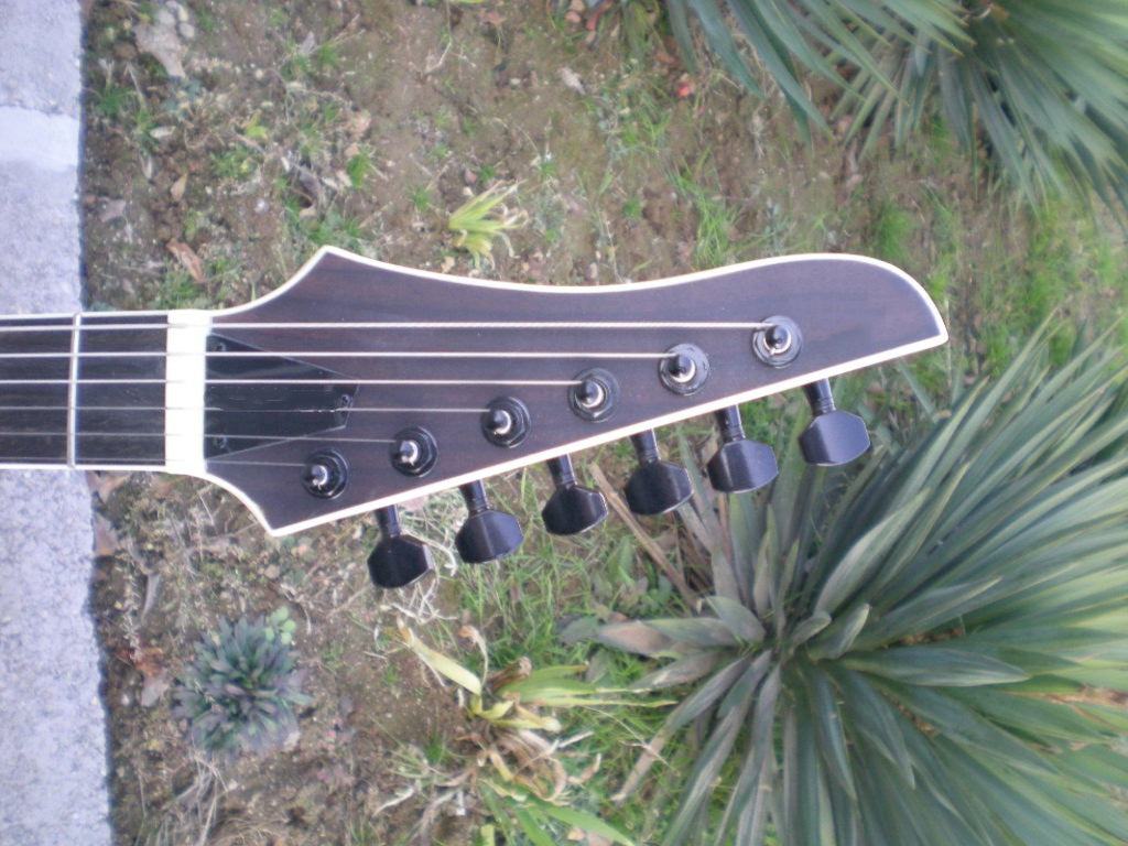 Customize Electric Guitar LSM077