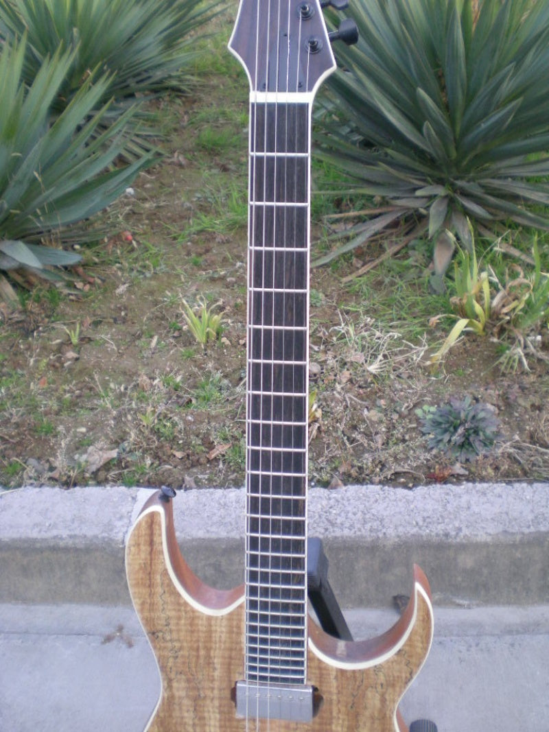 Customize Electric Guitar LSM077