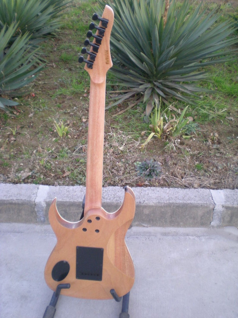 Customize Electric Guitar LSM077