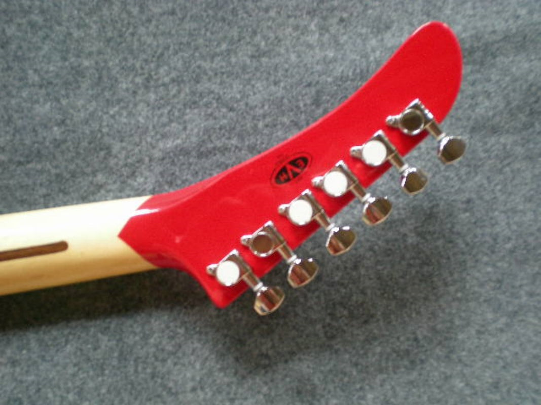 Customize Electric Guitar LSM047