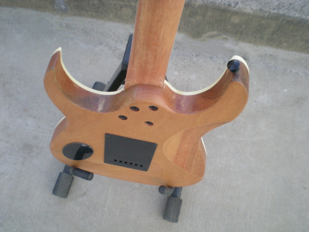 Customize Electric Guitar LSM077