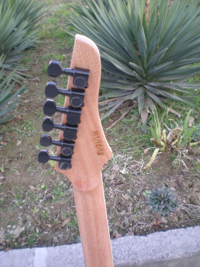 Customize Electric Guitar LSM077