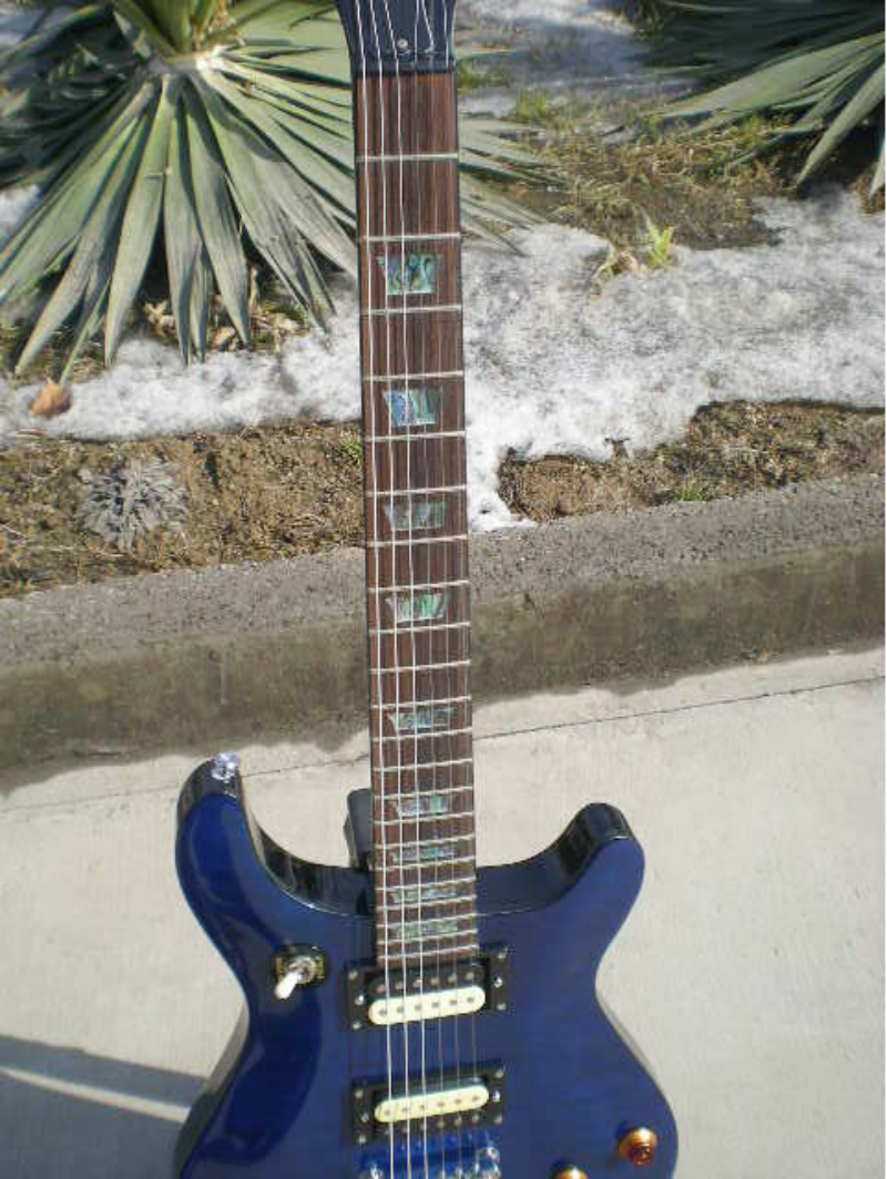 Customize Electric Guitar LSM036