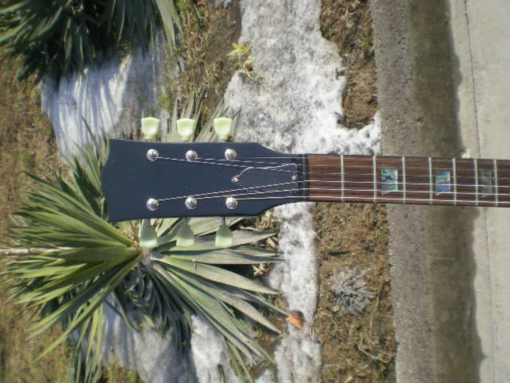 Customize Electric Guitar LSM036