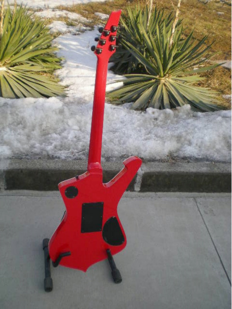 Customize Electric Guitar LSM019