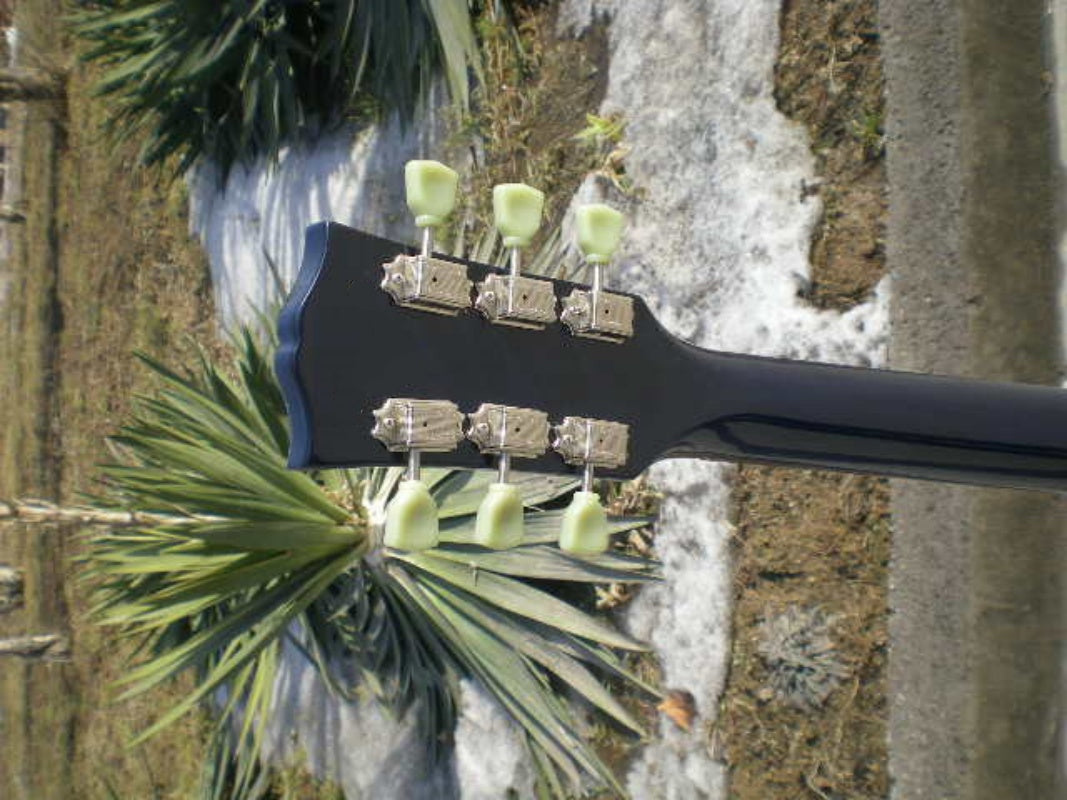 Customize Electric Guitar LSM036
