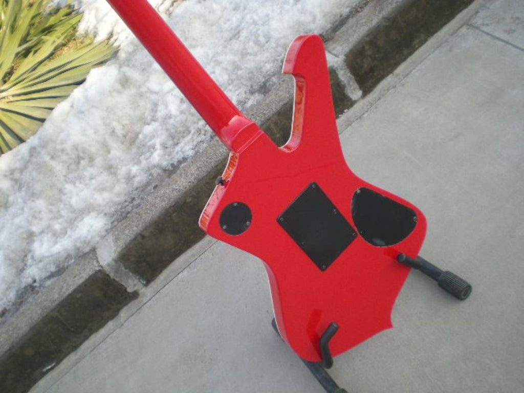 Customize Electric Guitar LSM019