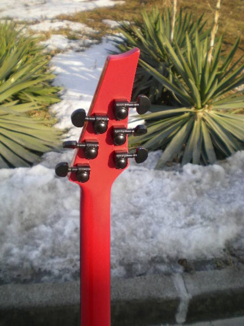 Customize Electric Guitar LSM019