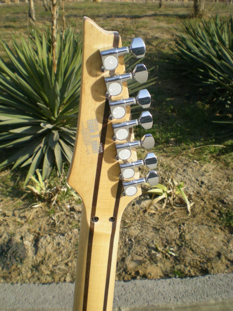 Customize 7 Strings Electric Guitar LSM100