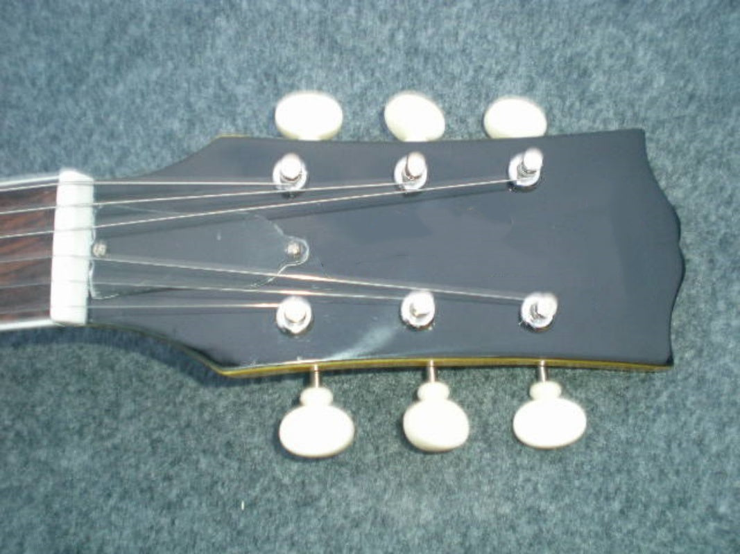 Customize Electric Guitar LSM067