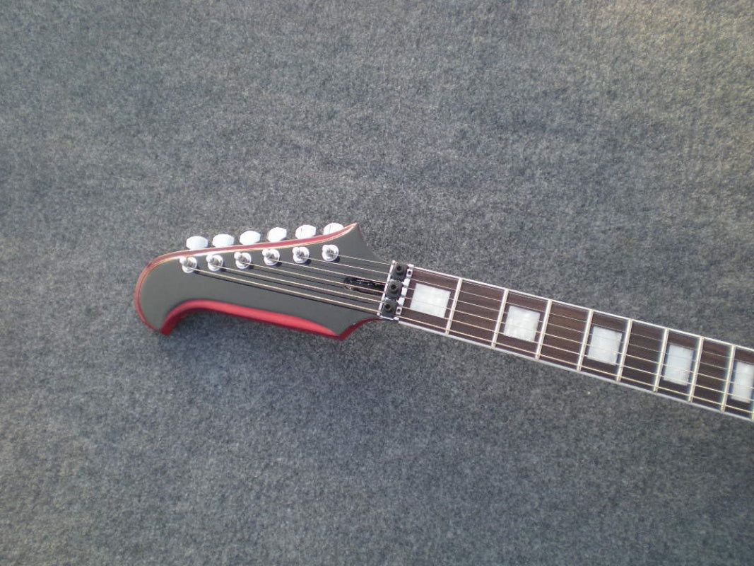 Customize Double Tremolo Electric Guitar LSM025