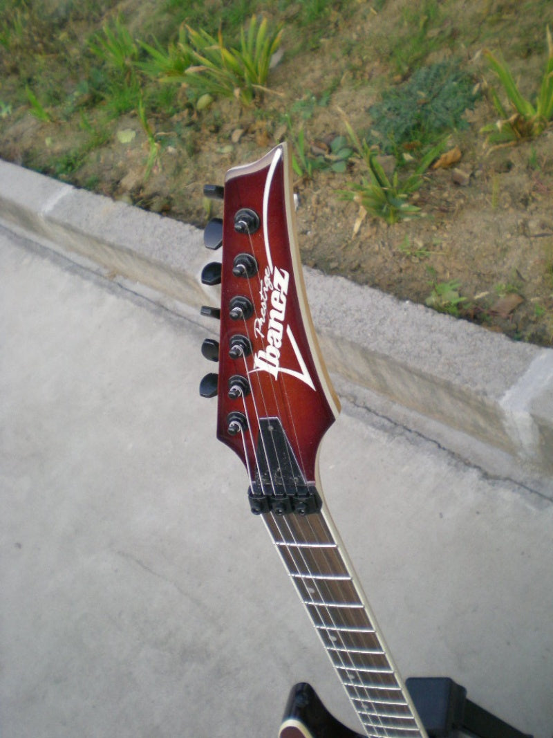 Customize Electric Guitar LSM098