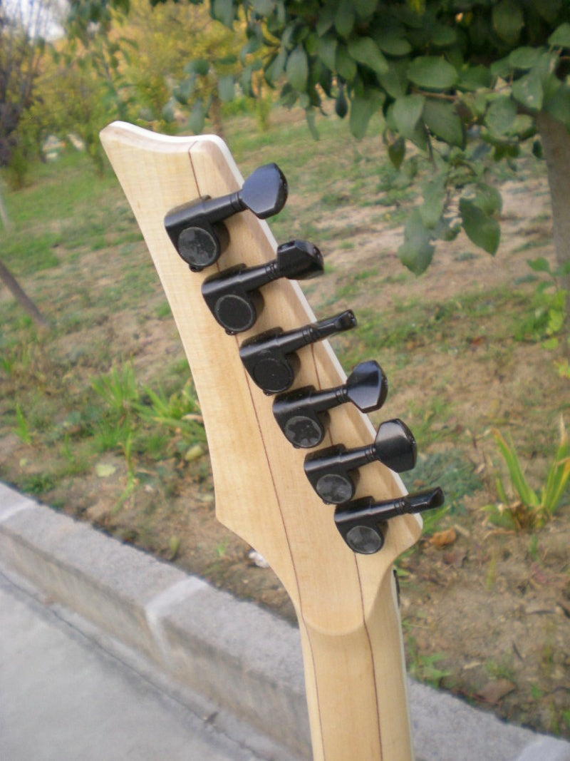 Customize Electric Guitar LSM098