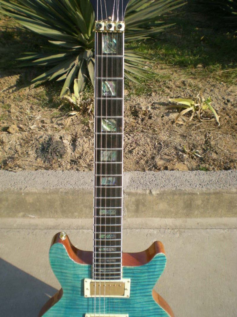 Customize Electric Guitar LSM039