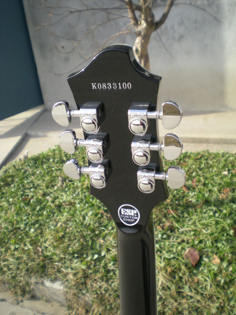 Customize Electric Guitar LSM075