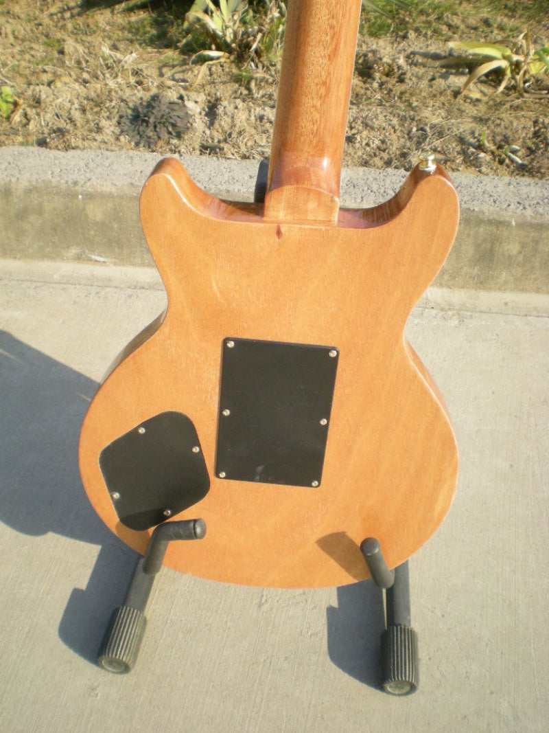 Customize Electric Guitar LSM039