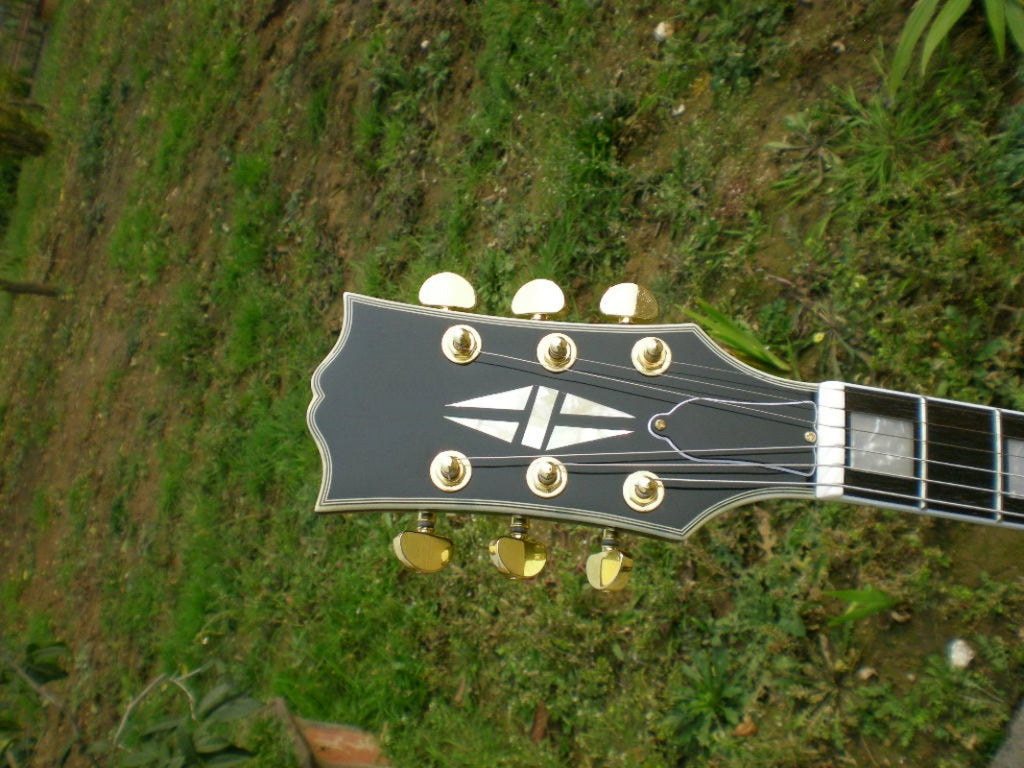 Customize Electric Guitar LSM038
