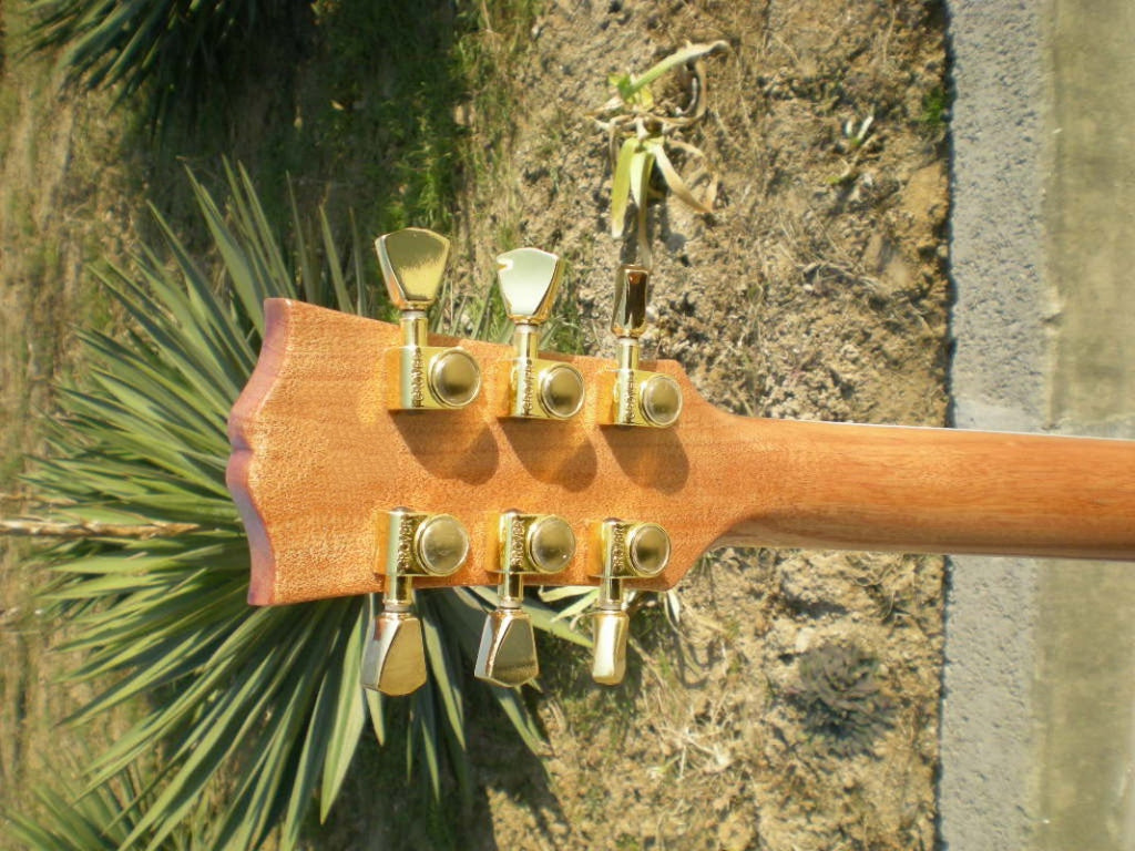 Customize Electric Guitar LSM039