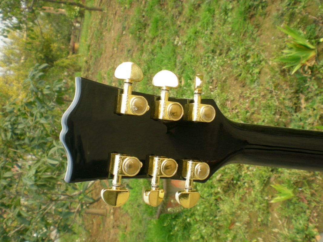 Customize Electric Guitar LSM038