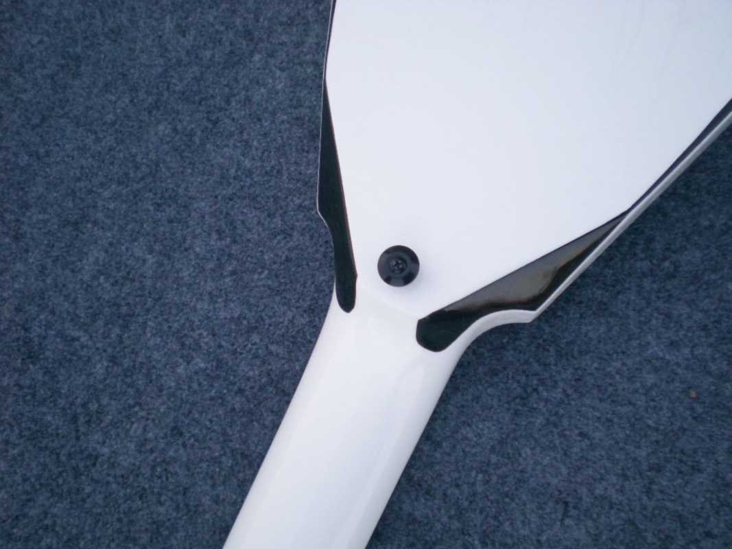 Customize Electric Guitar LSM044