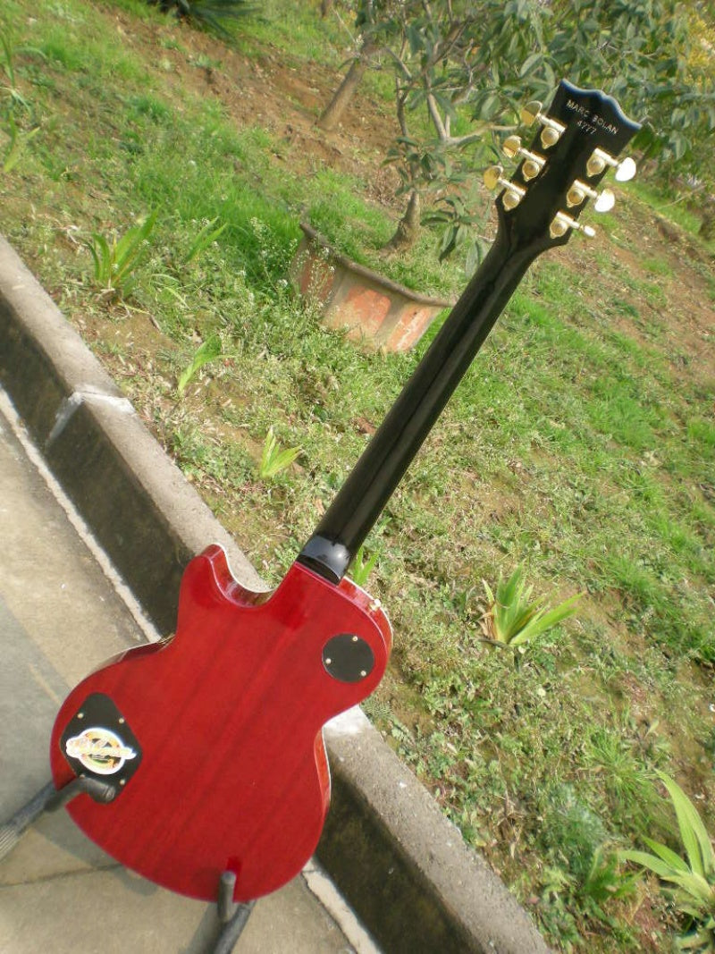 Customize Electric Guitar LSM038