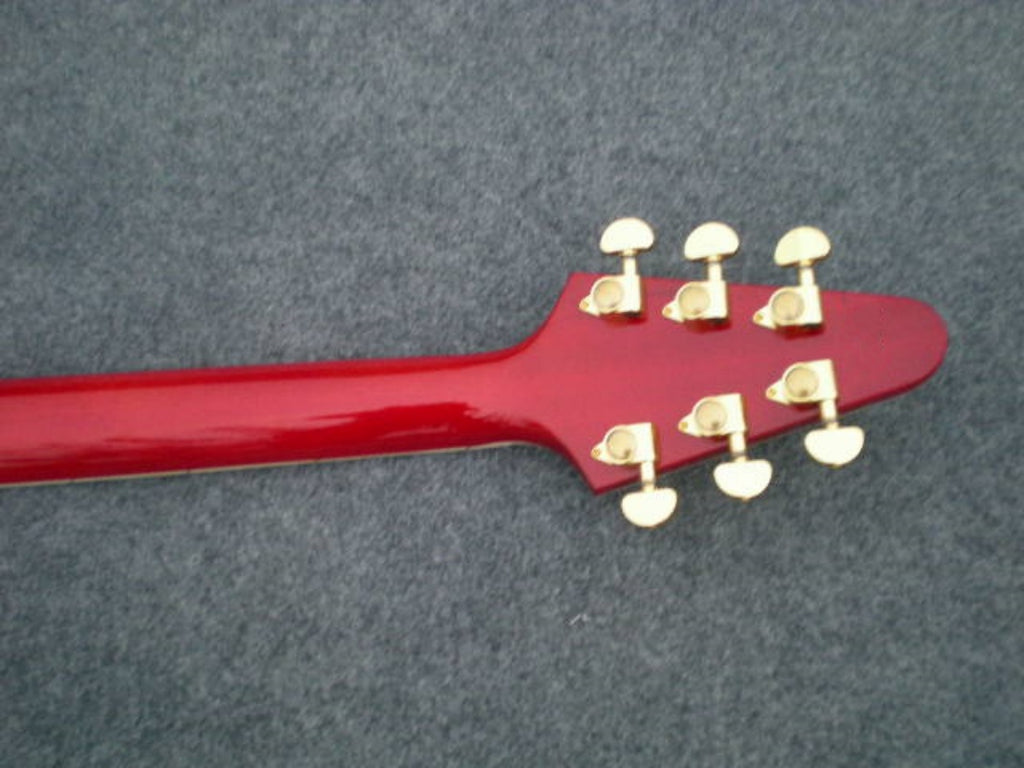 Customize Electric Guitar LSM027
