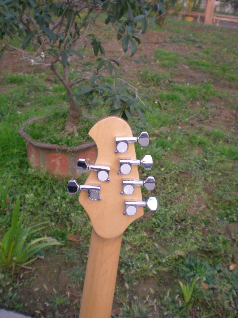 Customize Tangerine Double Tremolo Electric Guitar LSM007