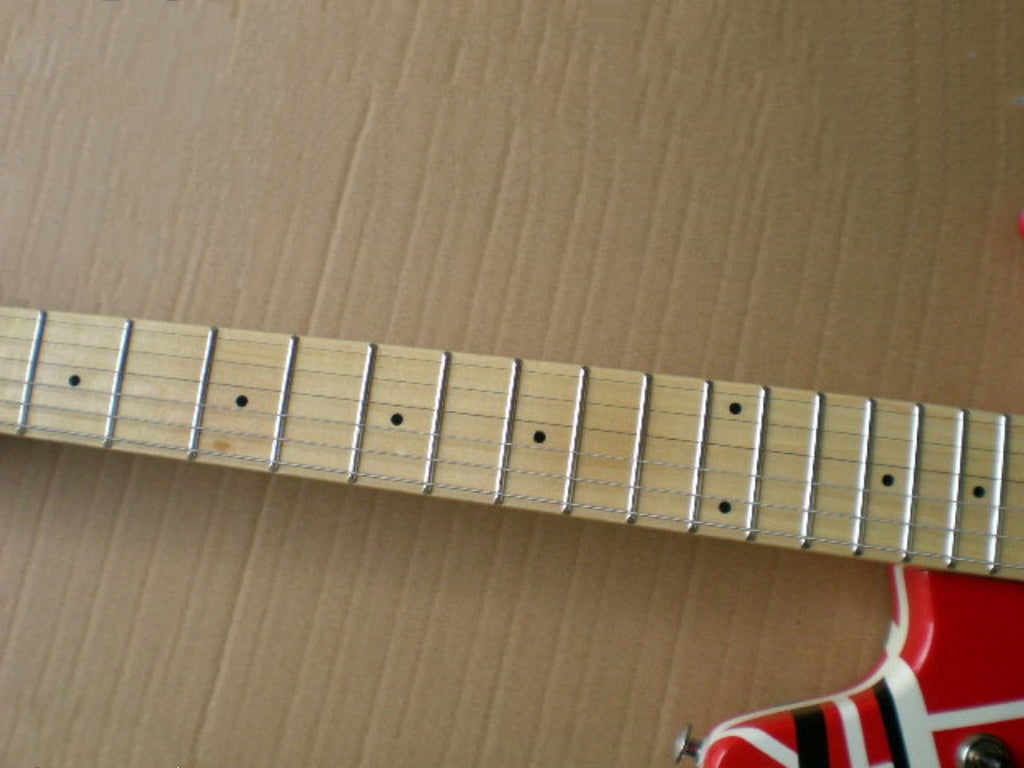 Customize Electric Guitar LSM004