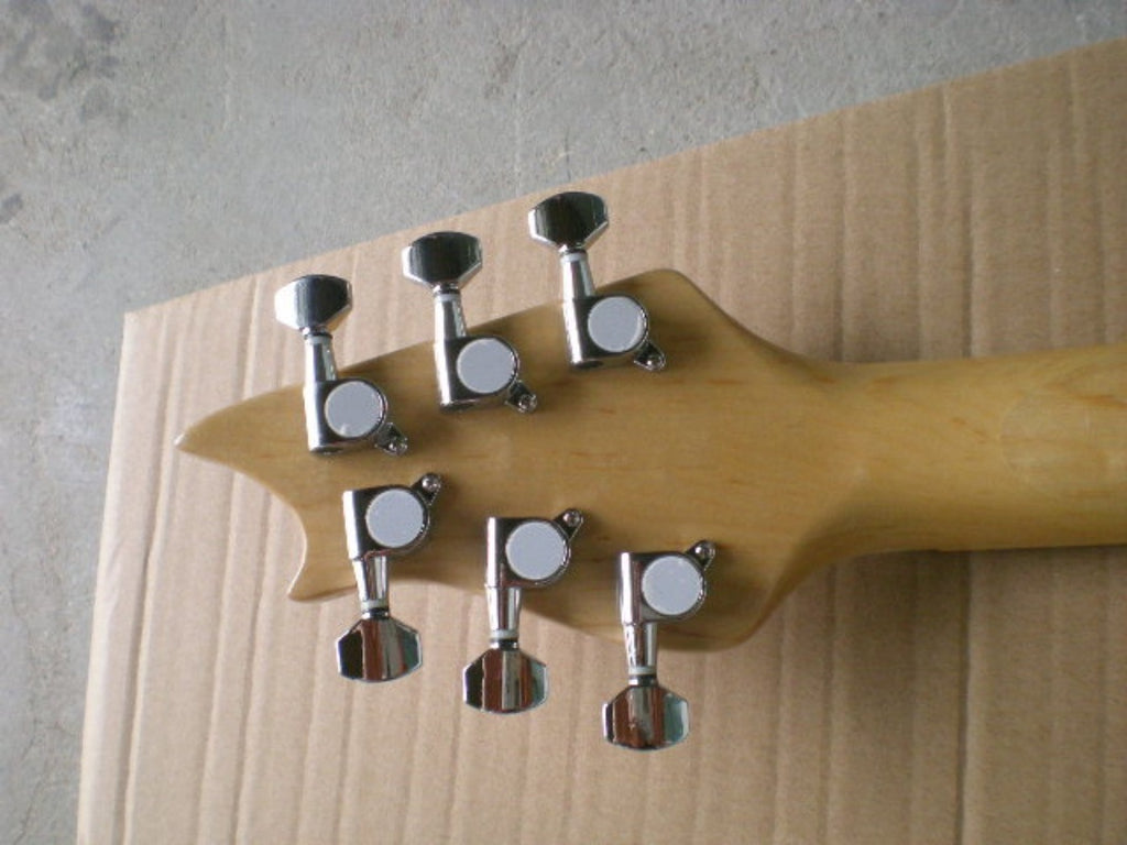Customize Electric Guitar LSM004