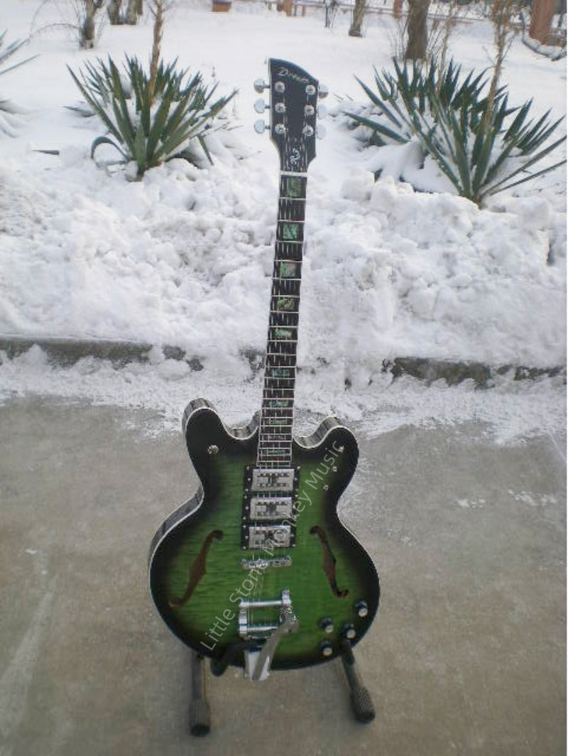 Customize Electric Guitar LSM087