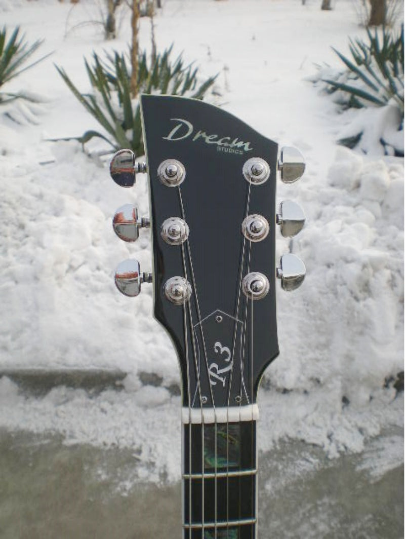 Customize Electric Guitar LSM087