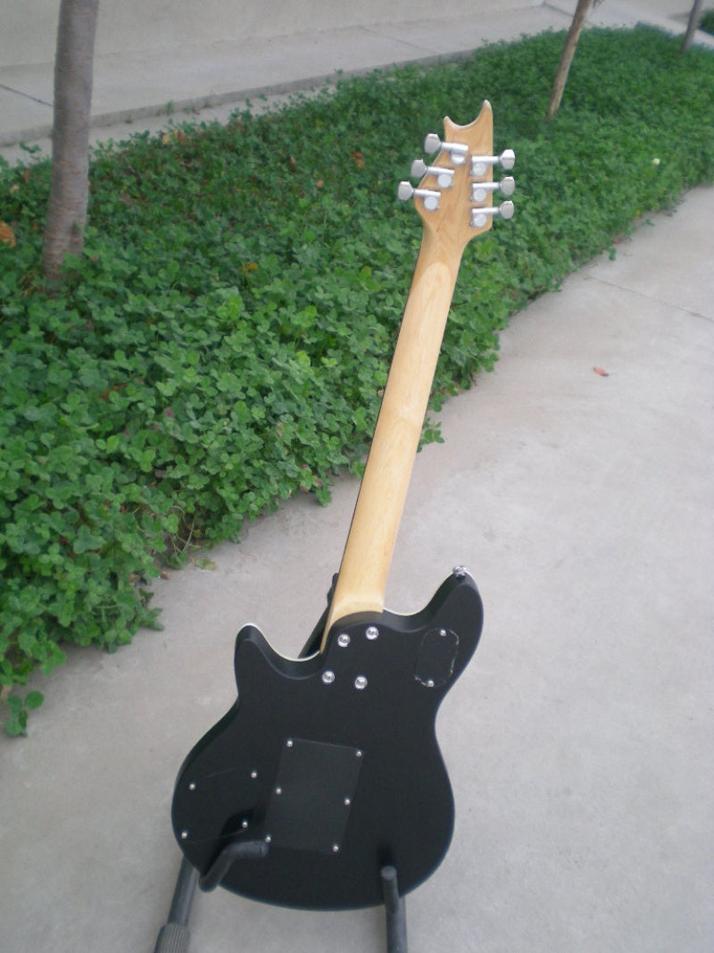 Customize Double Tremolo Electric Guitar LSM003