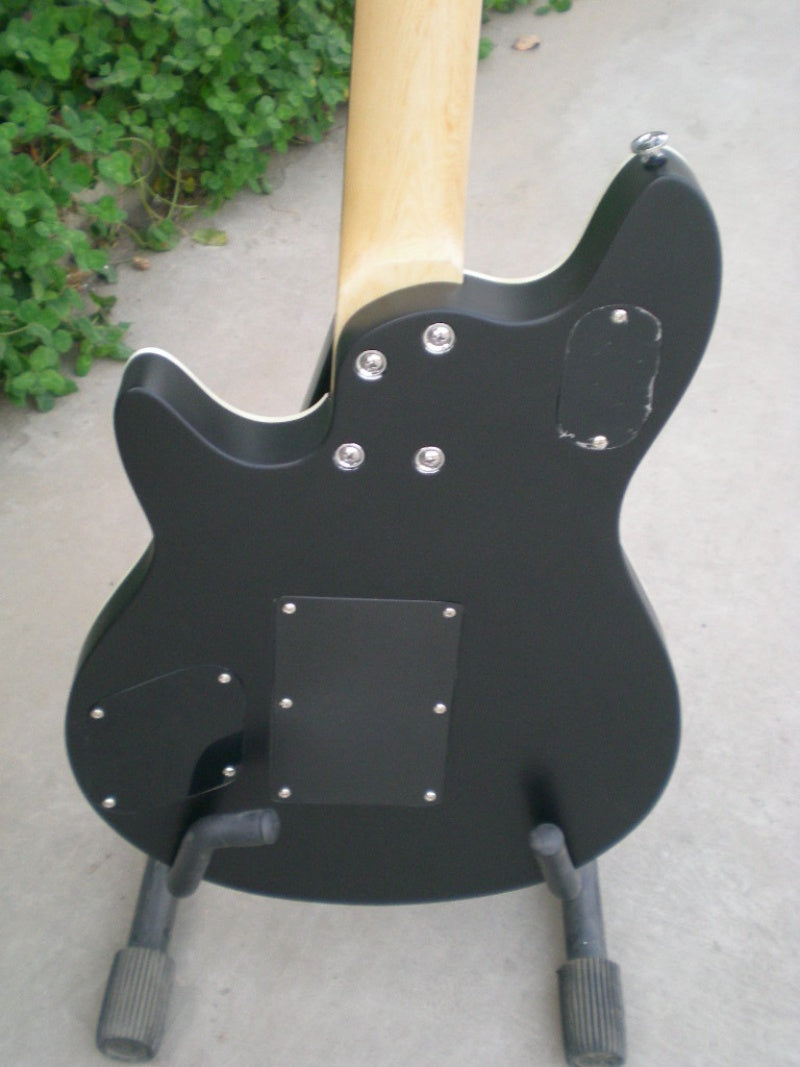 Customize Double Tremolo Electric Guitar LSM003