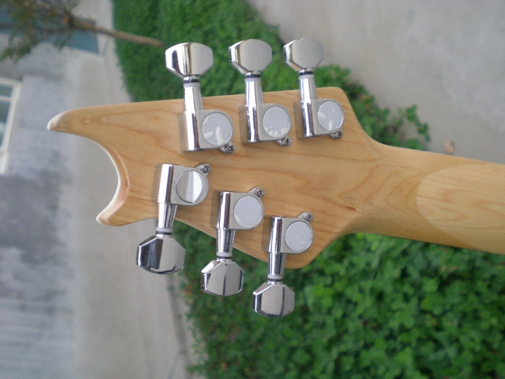 Customize Double Tremolo Electric Guitar LSM003