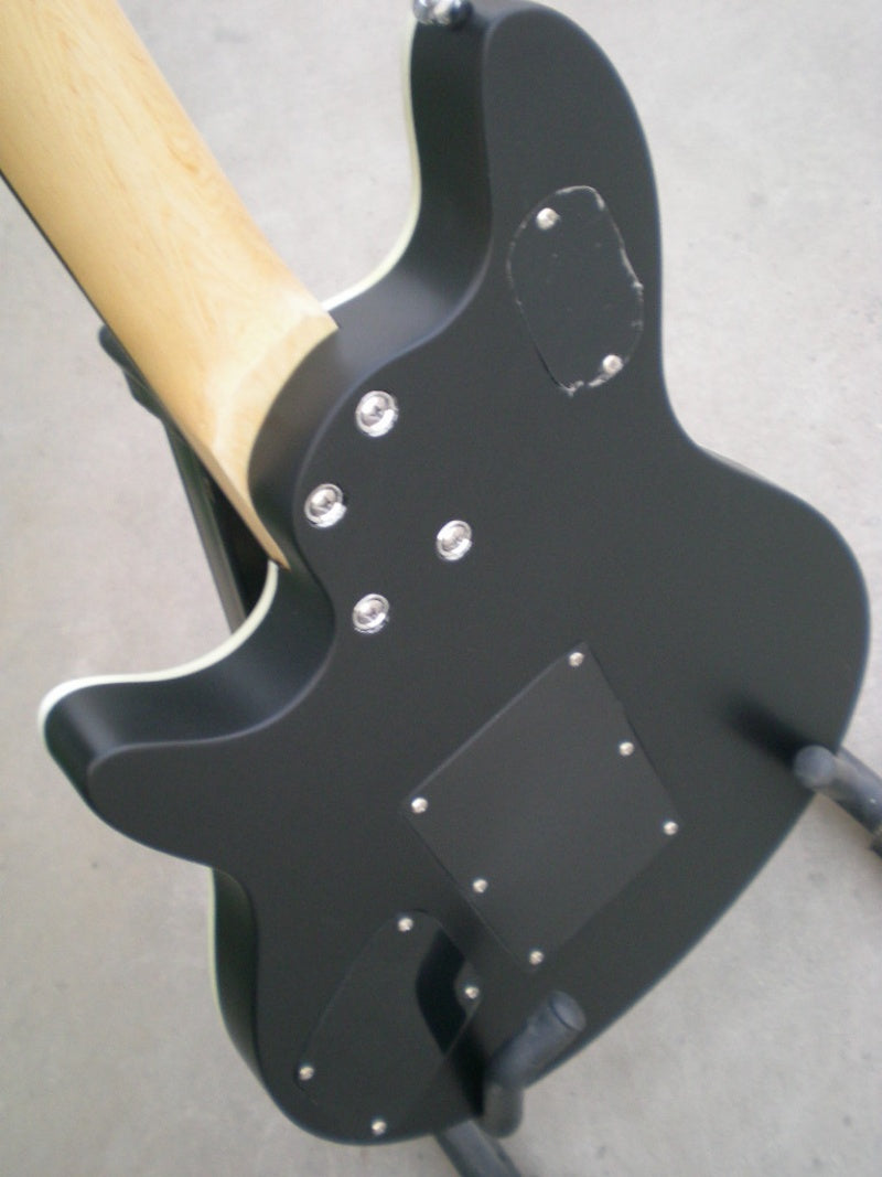 Customize Double Tremolo Electric Guitar LSM003