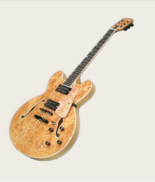 Customize Electric Guitar LSM010