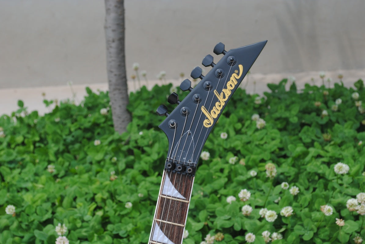 Customize Double Tremolo Electric Guitar LSM041