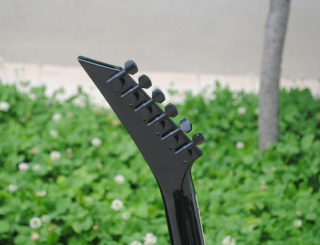 Customize Double Tremolo Electric Guitar LSM041