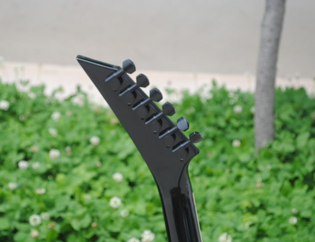 Customize Double Tremolo Electric Guitar LSM041