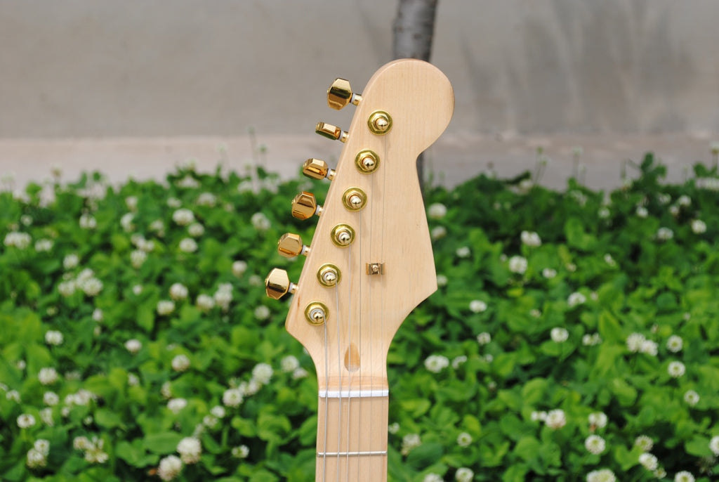 Customize Electric Guitar LSM150