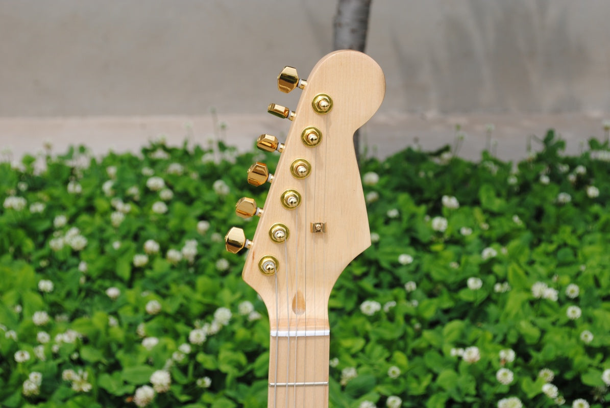 Customize Electric Guitar LSM150